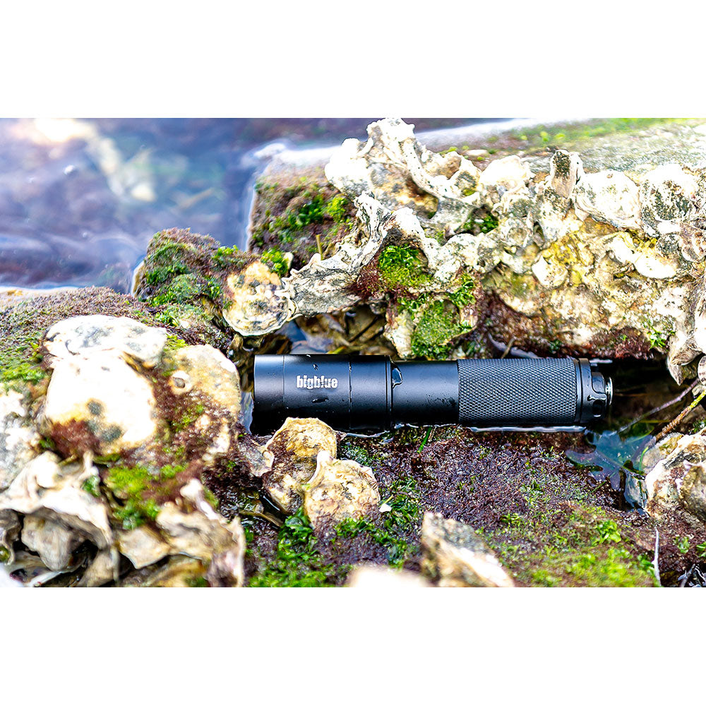 Dykkerlygte Bigblue AL1300 Narrow beam Tail switch