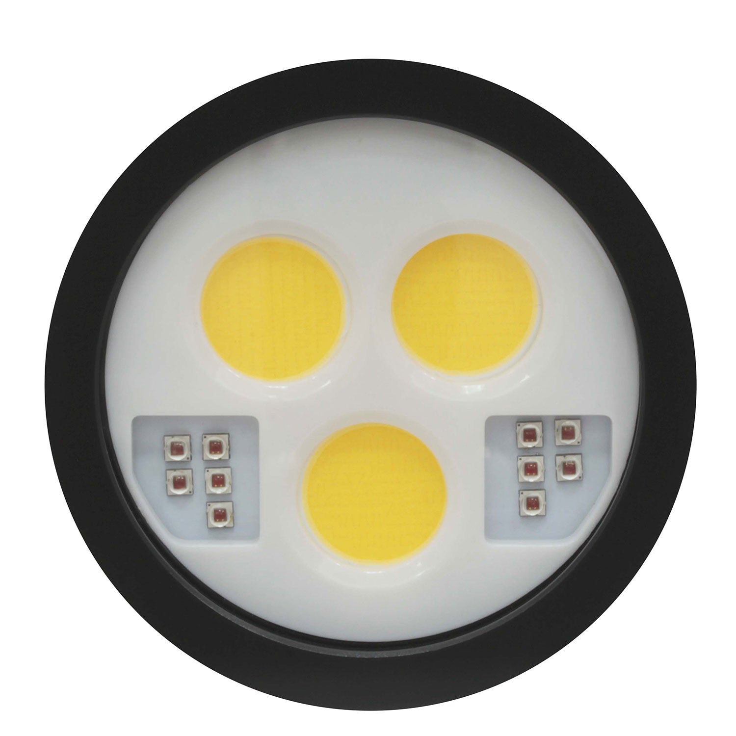 Dykkerlygte Bigblue CB30000P - edyk.dk