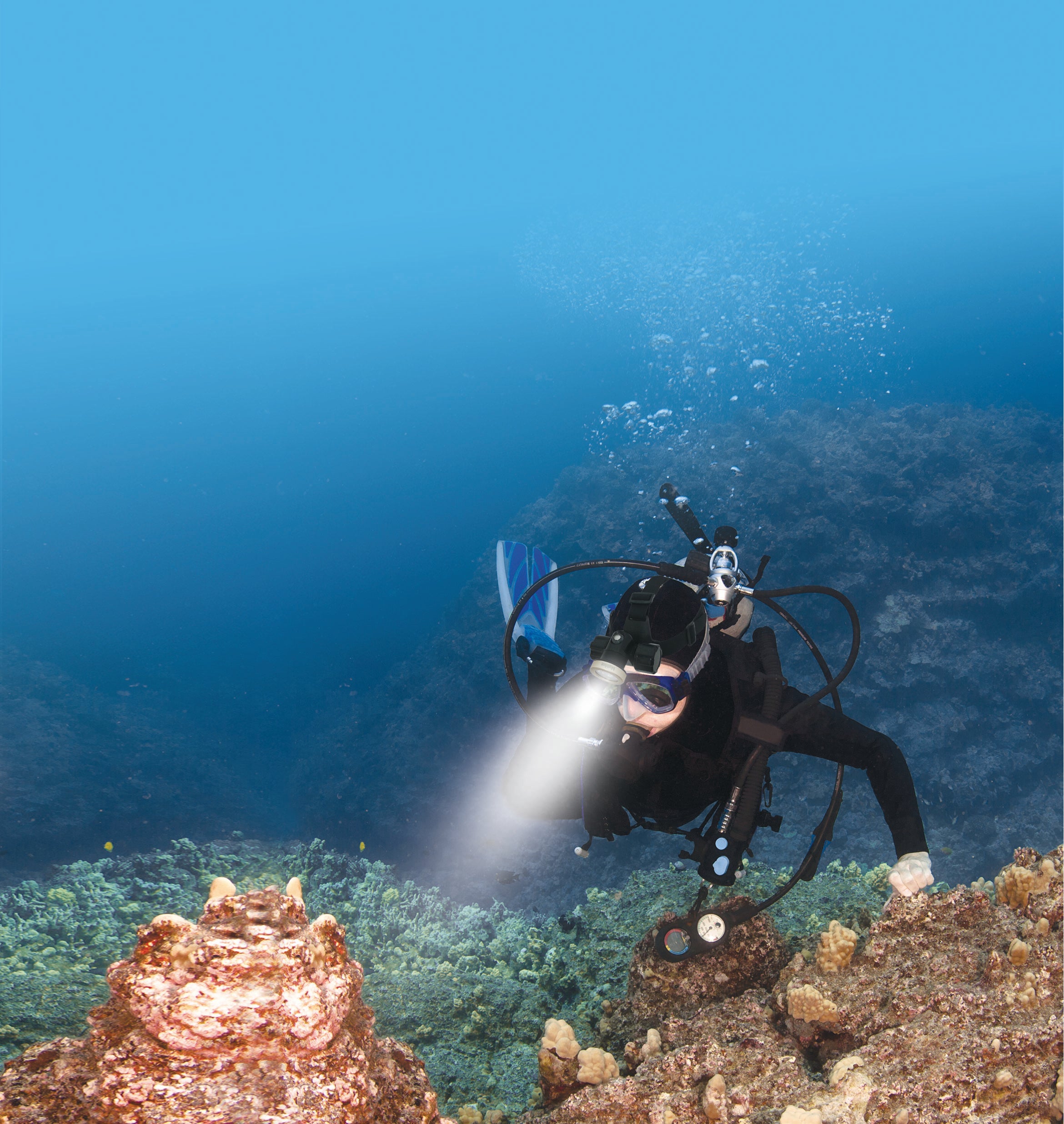 Pandelampe Bigblue HL450NP - edyk.dk