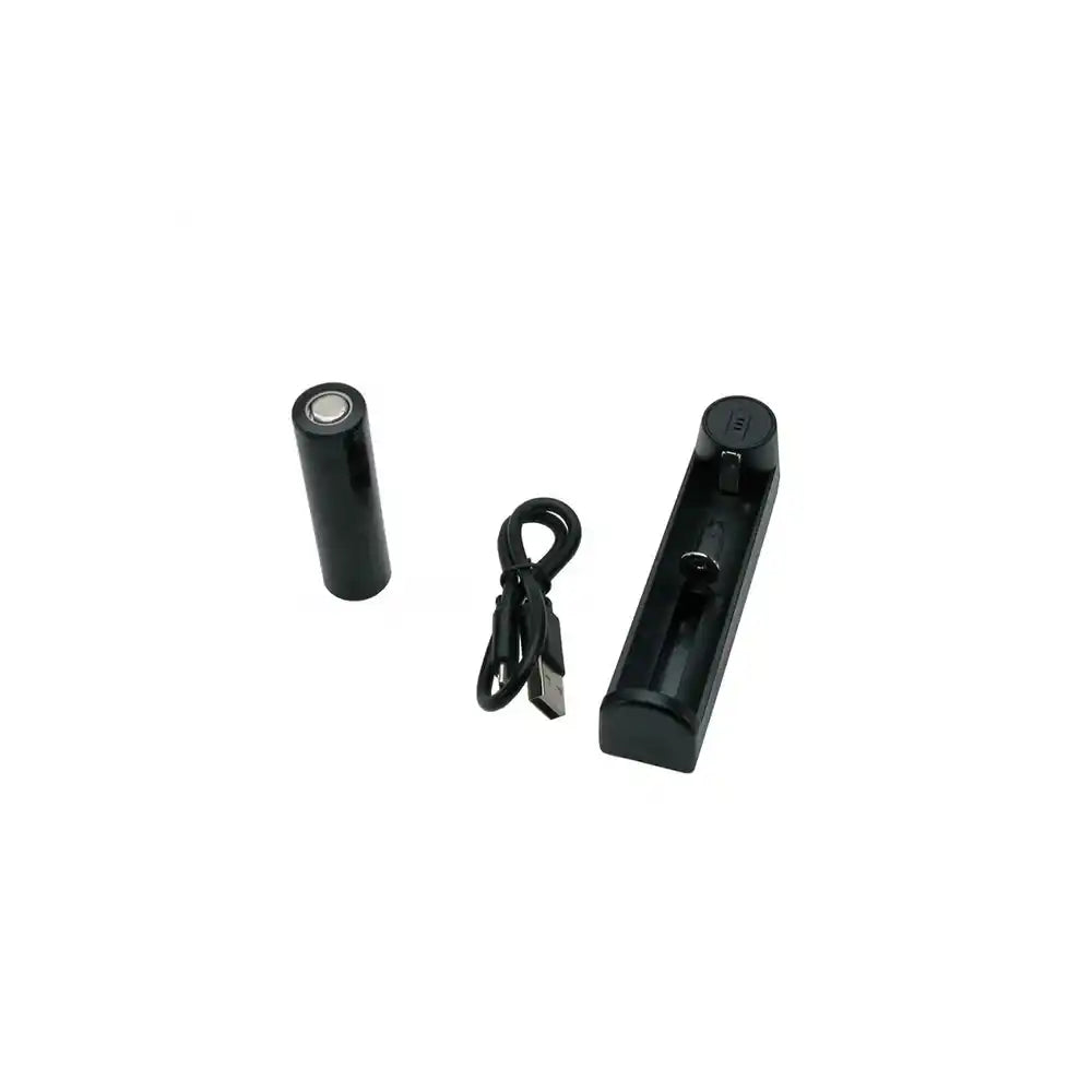 Lygte TDS Altair 1000 LM