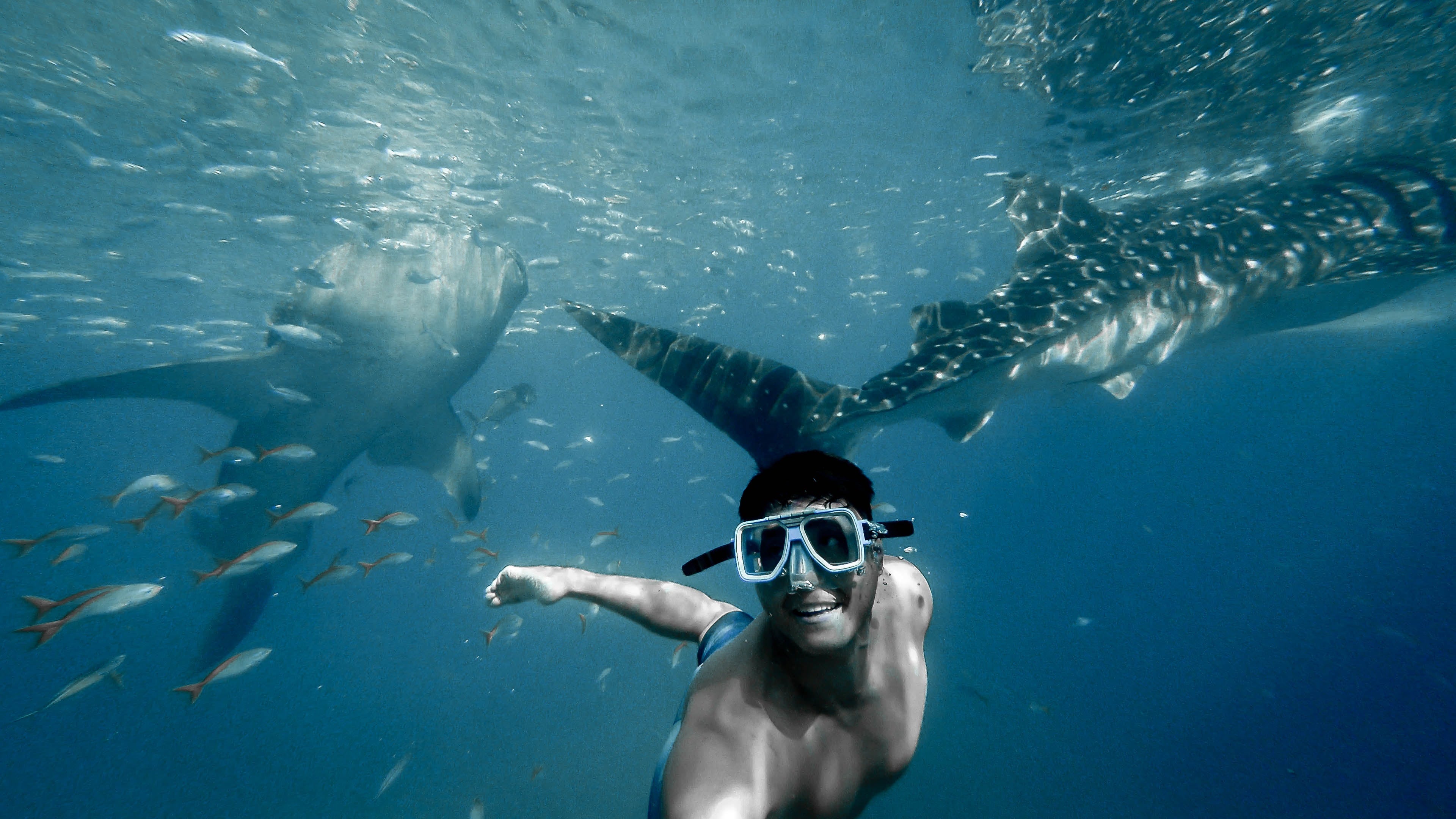 En person i badetøj snorkler i det klare, turkisblå vand omgivet af farverige fisk og smukke koraller.