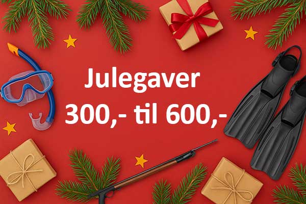 Julegaveidéer mellem 300,- og 600,-