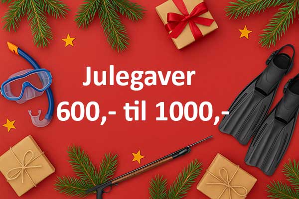 Julegaveidéer mellem 600,- og 1000,-