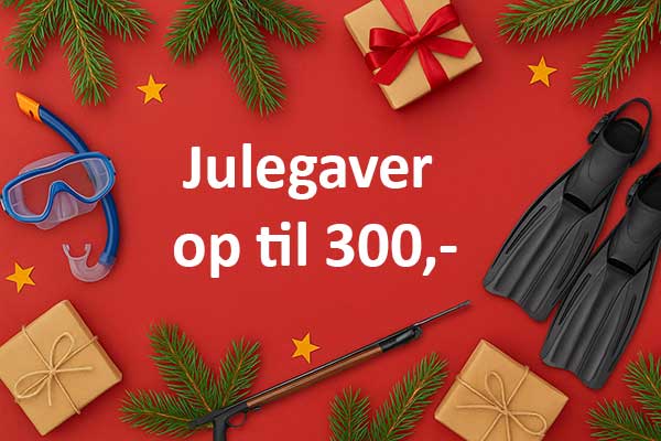 Julegaveidéer op til 300,-