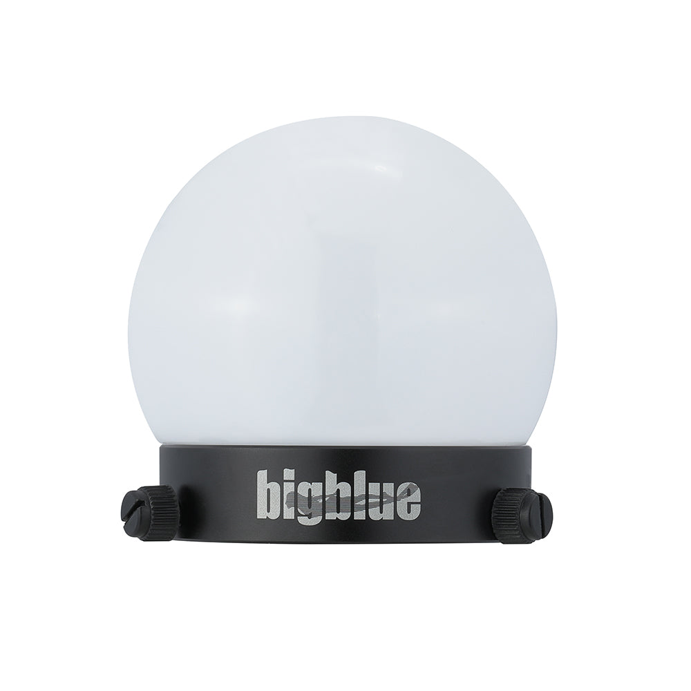 Globe FIlter Bigblue GF63